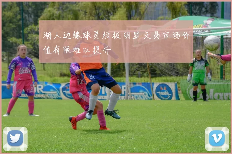 湖人边缘球员短板明显交易市场价值有限难以提升